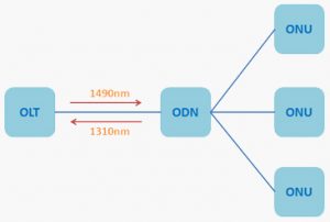PON Network Structure